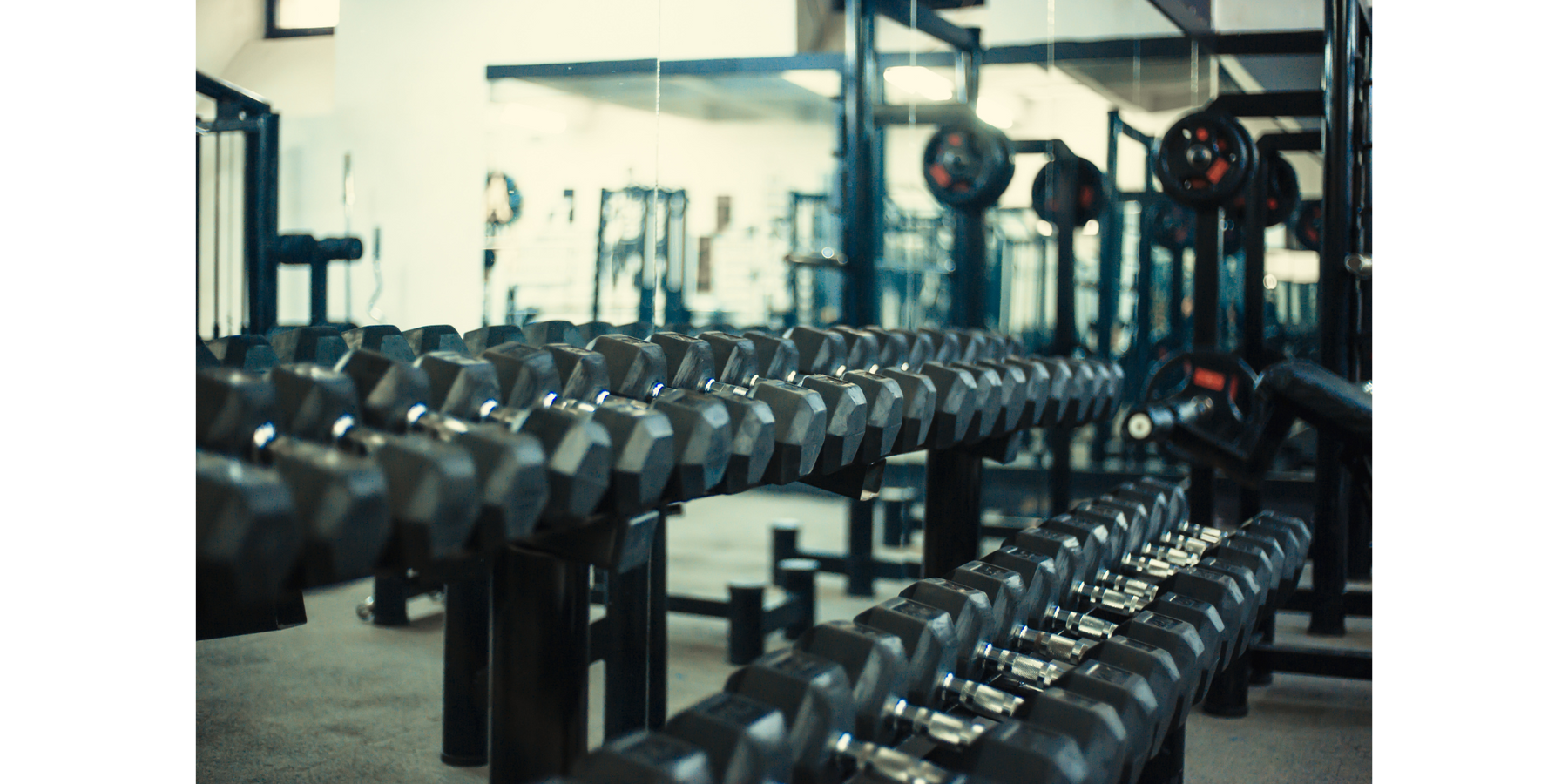 Todo lo que necesitas saber para montar tu propio gimnasio