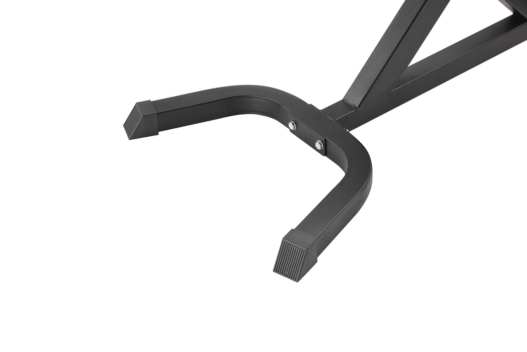 Silla romana para extensión lumbar Fitness Tech